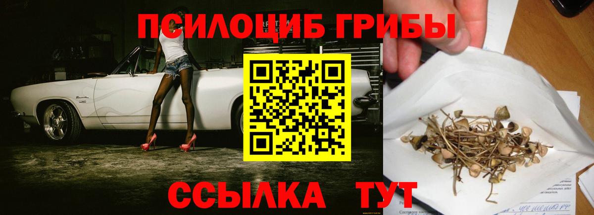 Псилоцибиновые грибы прущие грибы  Вход с VPN  Североуральск 